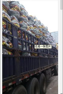 開封五金工具商行 一站式農(nóng)具批發(fā)零售與五金產(chǎn)品研發(fā)的領航者